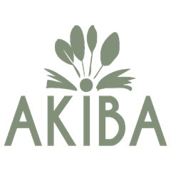 Logo Akiba