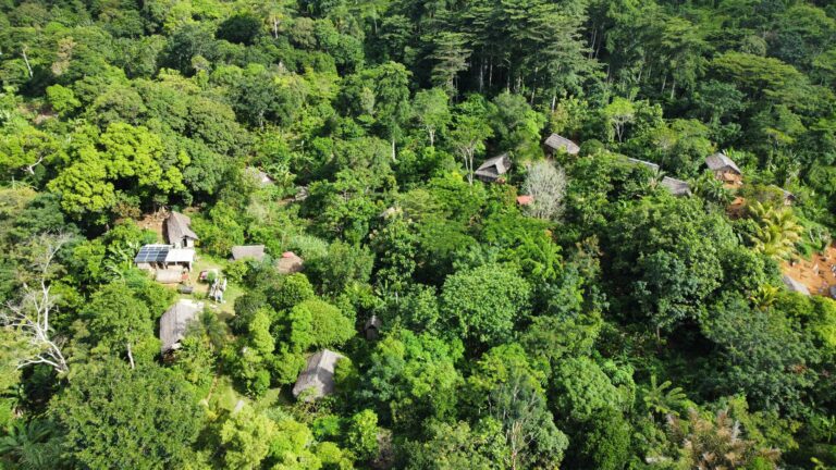 Lire la suite à propos de l’article Création d’un dispensaire et d&rsquo;un jardin de plantes médicinales